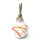 Waxz® Amarylliszwiebel (Hippeastrum Hybride), Picasso in der Farbe: weiss