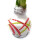 Waxz® Amarylliszwiebel (Hippeastrum Hybride), Picasso in der Farbe: weiss