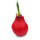 Waxz® Amarylliszwiebel (Hippeastrum Hybride), Happy in der Farbe: rot