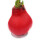 Waxz® Amarylliszwiebel (Hippeastrum Hybride), Happy in der Farbe: rot