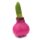 Waxz® Amarylliszwiebel (Hippeastrum Hybride), Happy in der Farbe: rosa