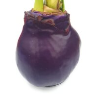 Waxz&reg; Amarylliszwiebel (Hippeastrum Hybride), Happy in der Farbe: violett