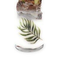 Waxz&reg; Amarylliszwiebel (Hippeastrum Hybride), Botanik, Motiv: Blatt