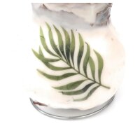 Waxz&reg; Amarylliszwiebel (Hippeastrum Hybride), Botanik, Motiv: Blatt