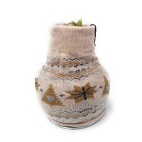 Waxz&reg; Amarylliszwiebel (Hippeastrum Hybride), Fashionz Nordic in der Farbe: creme