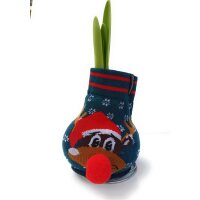 Waxz&reg; Amarylliszwiebel (Hippeastrum Hybride), Fashionz Silly Motiv: 3