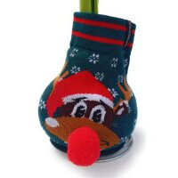 Waxz&reg; Amarylliszwiebel (Hippeastrum Hybride), Fashionz Silly Motiv: 3