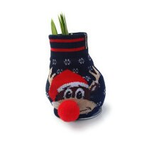 Waxz&reg; Amarylliszwiebel (Hippeastrum Hybride), Fashionz Silly Motiv: 4