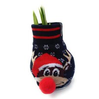 Waxz&reg; Amarylliszwiebel (Hippeastrum Hybride), Fashionz Silly Motiv: 4