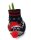 Waxz® Amarylliszwiebel (Hippeastrum Hybride), Fashionz Silly Motiv: 4