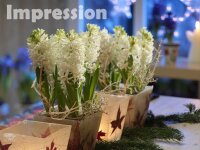 Hyazinthe, (Hyacinthus orientalis), 3 Zwiebel im 12cm Topf, Farbe weiss, Sorte: White Pearl