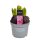 Hyazinthe, (Hyacinthus orientalis), 3 Zwiebel im 12cm Topf, Farbe rosa, Sorte: Pink Pearl