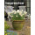 gefüllte Narzisse, (Narcissus), Sorte: Bridal Crown, im 12cm Topf