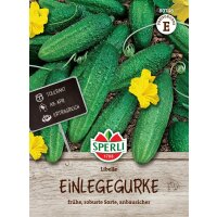 Einlegegurke Libelle, F1