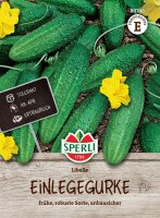 Einlegegurke Libelle, F1