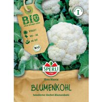 BIO Blumenkohl