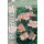 Gemeiner Fingerstrauch, (Potentilla fruticosa), Sorte: Pink, im 19cm Topf, ca 25cm hoch