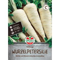 Wurzelpetersilie Halblange