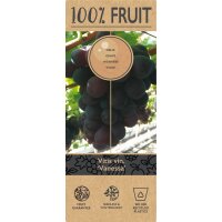 Traube (Vitis vinifera), Sorte: Vanessa kernlos, im 15cm Topf, ca. 65cm hoch