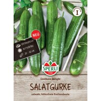 Salatgurke Southern Delight, F1