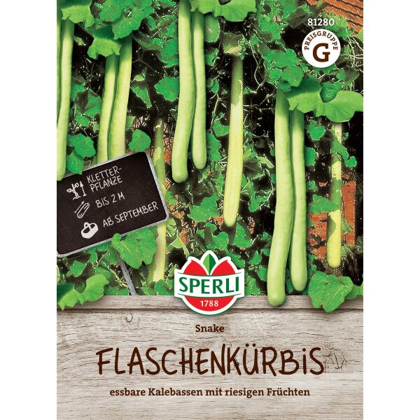 Kalebassen Snake (Herkuleskeule)