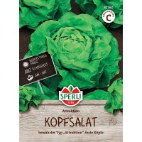 Kopfsalat Attraktion