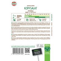 Kopfsalat Attraktion
