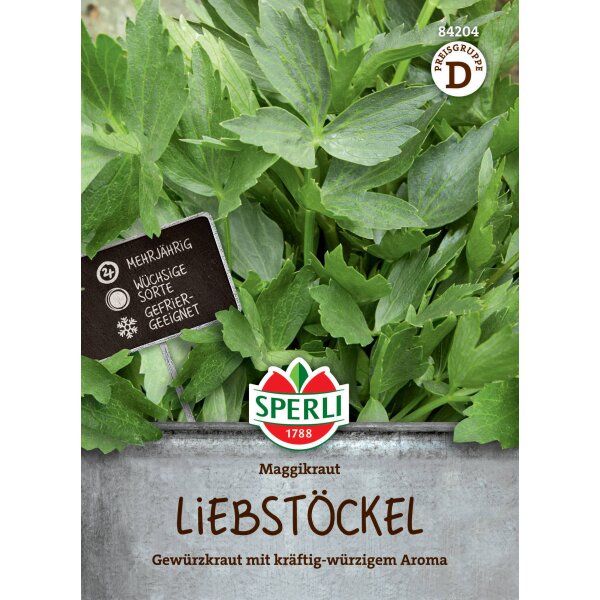 Liebstock Maggikraut