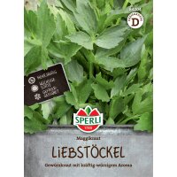 Liebstock Maggikraut