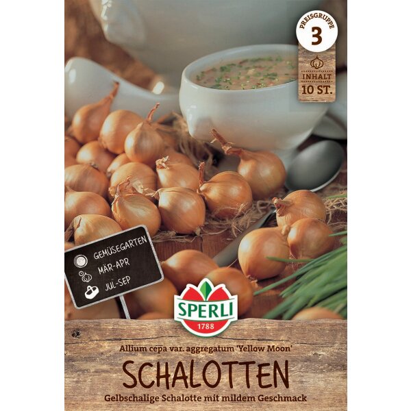 Schalotte Yellow Moon