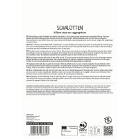 Schalotte Yellow Moon