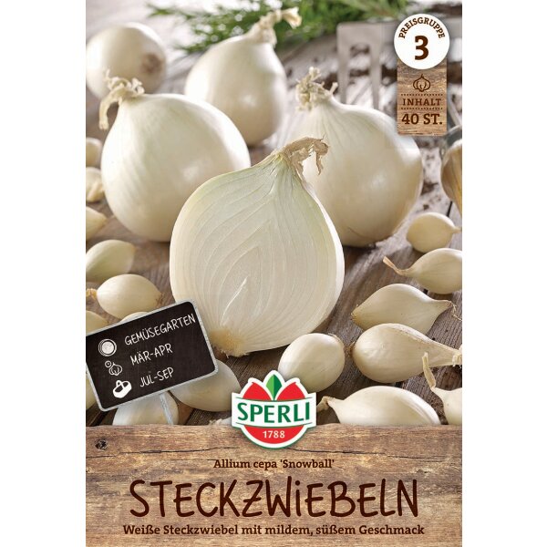 Weiße Steckzwiebel Snowball