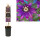 Passionsblume, (Passiflora). Sorte: Beervelde, ca. 75cm hoch, im 17cm Topf