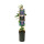 Passionsblume, (Passiflora). Sorte: Purple Haze, ca. 75cm hoch, im 17cm Topf