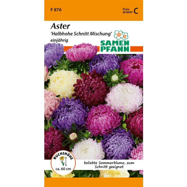 Aster Halbhohe Schnitt