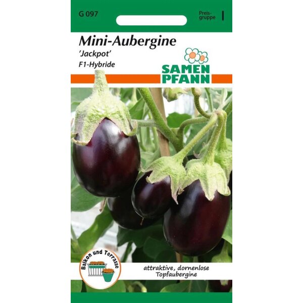 Mini-Aubergine Jackpot F1