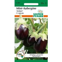 Mini-Aubergine Jackpot F1
