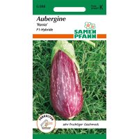 Aubergine Rania F1