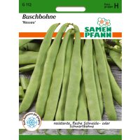 Buschbohne Nassau