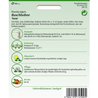 Buschbohne Saxa