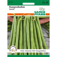 Stangenbohne Matilda