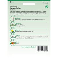 Stangenbohne Matilda