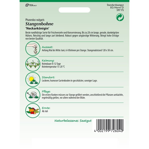 Stangenbohne Neckarkönigin