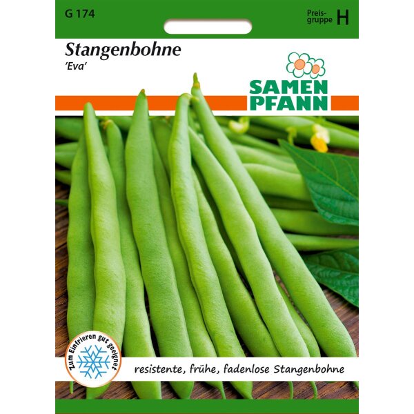 Stangenbohne Eva