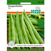 Stangenbohne Eva