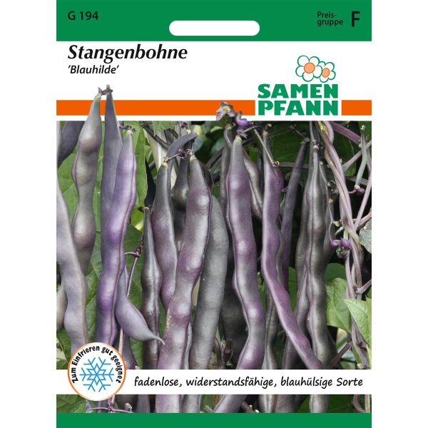 Stangenbohne Blauhilde