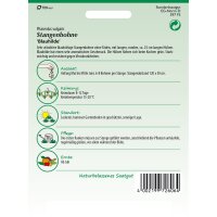 Stangenbohne Blauhilde