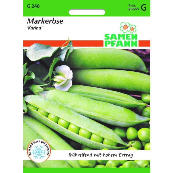 Markerbse Karina