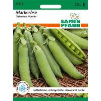 Erbsen Kelvedon Wonder