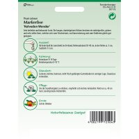 Erbsen Kelvedon Wonder